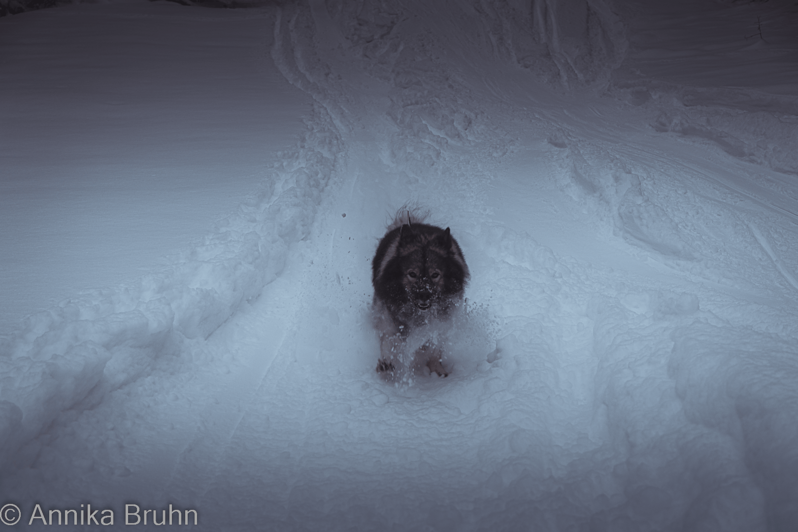 Q macht eine Vollbremsung!